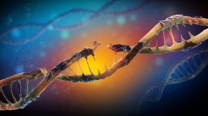 First Responders Understanding DNA-Damage